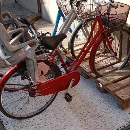 Palacongressi Fiera Centro Citta Daire